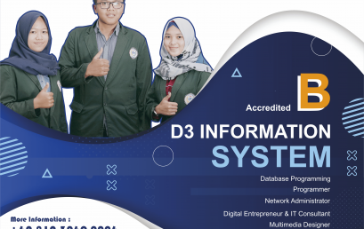 The Information Systems Study Program